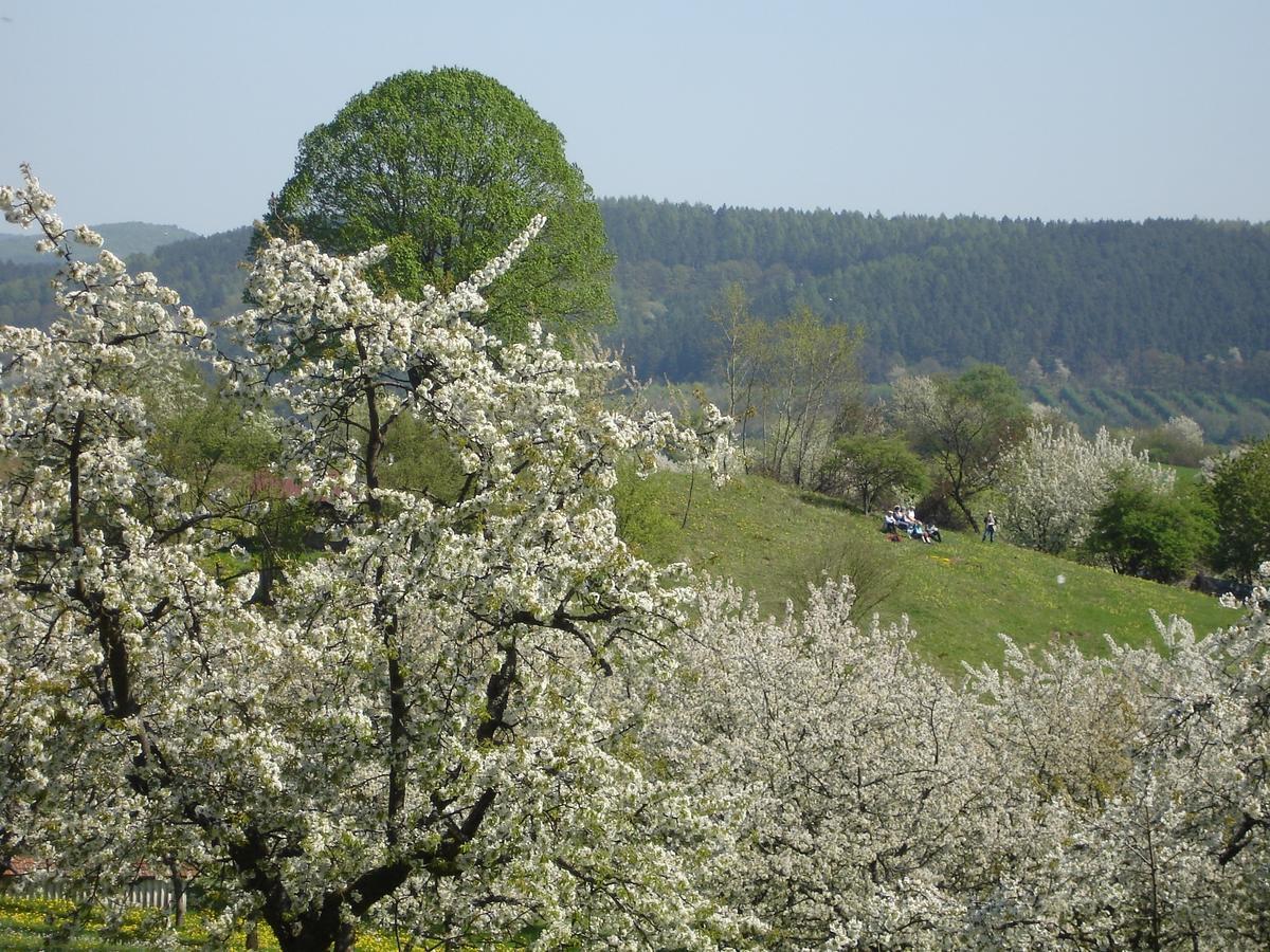 Dorf Gut Hotel Zur Warte Witzenhausen Exterior foto