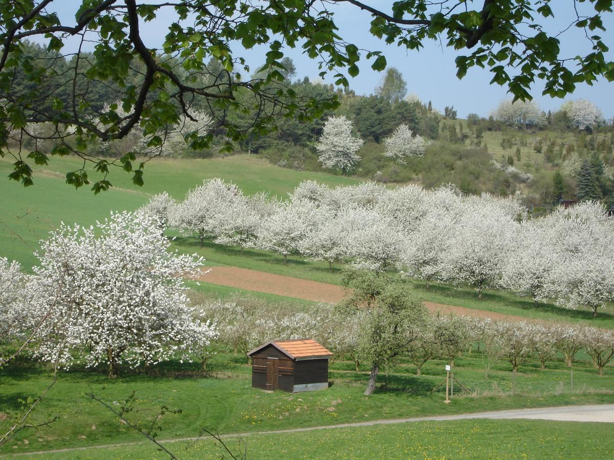 Dorf Gut Hotel Zur Warte Witzenhausen Exterior foto